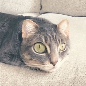 Meet your Posher, Jescah